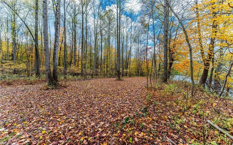 TBD Bortz Mine Road, Point Marion, 15451, ,Farm-acreage-lot,For Sale,Bortz Mine Road,1729378