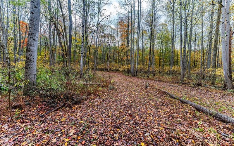 TBD Bortz Mine Road, Point Marion, 15451, ,Farm-acreage-lot,For Sale,Bortz Mine Road,1729378