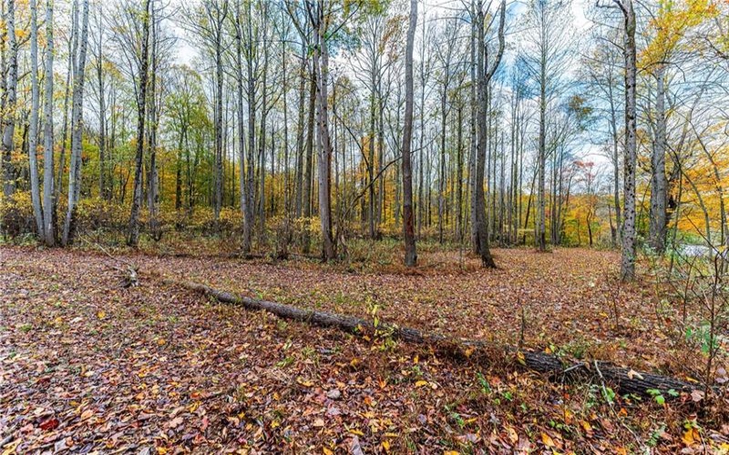 TBD Bortz Mine Road, Point Marion, 15451, ,Farm-acreage-lot,For Sale,Bortz Mine Road,1729378
