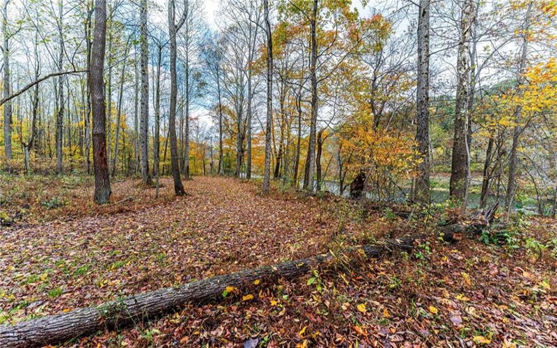TBD Bortz Mine Road, Point Marion, 15451, ,Farm-acreage-lot,For Sale,Bortz Mine Road,1729378