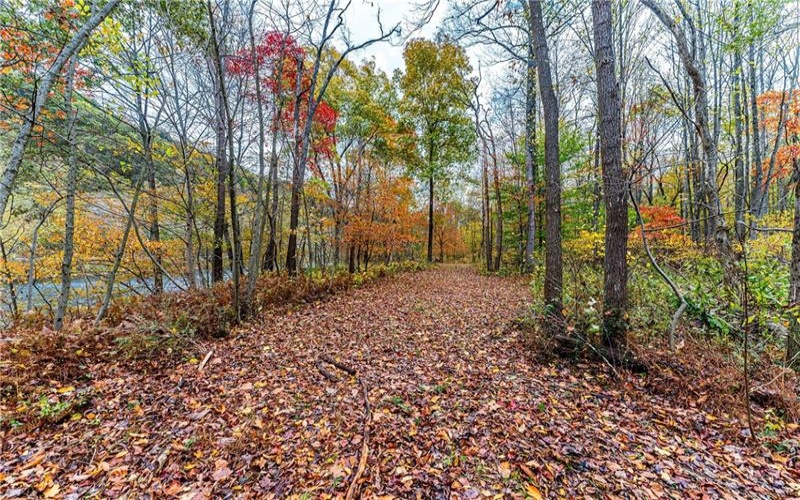TBD Bortz Mine Road, Point Marion, 15451, ,Farm-acreage-lot,For Sale,Bortz Mine Road,1729378