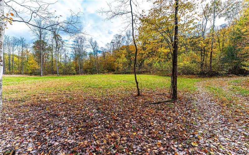 TBD Bortz Mine Road, Point Marion, 15451, ,Farm-acreage-lot,For Sale,Bortz Mine Road,1729378
