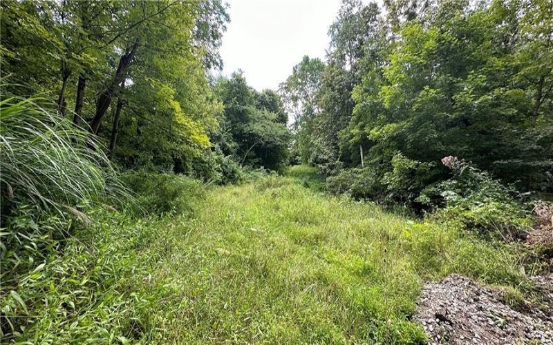 88 LOW HILL RD, Centerville, 15417, ,Commercial-industrial-business,For Sale,LOW HILL RD,1738197