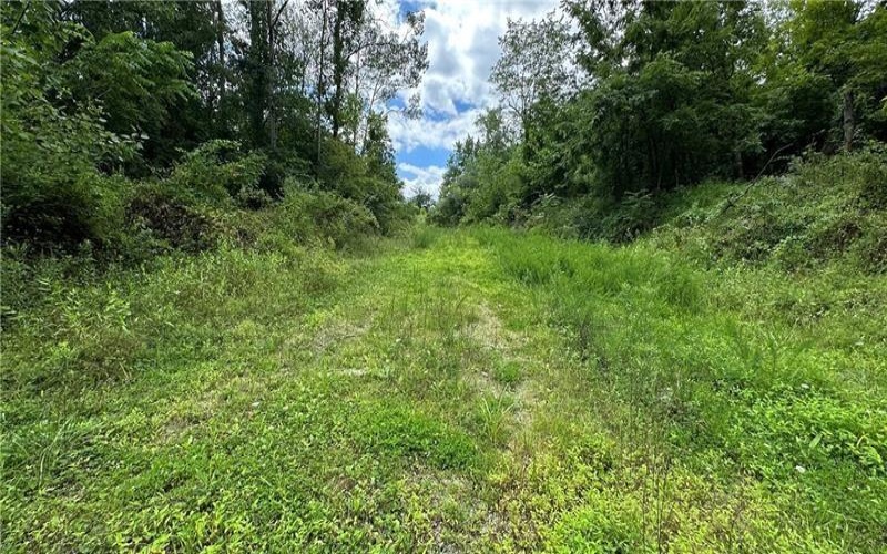 88 LOW HILL RD, Centerville, 15417, ,Commercial-industrial-business,For Sale,LOW HILL RD,1738197