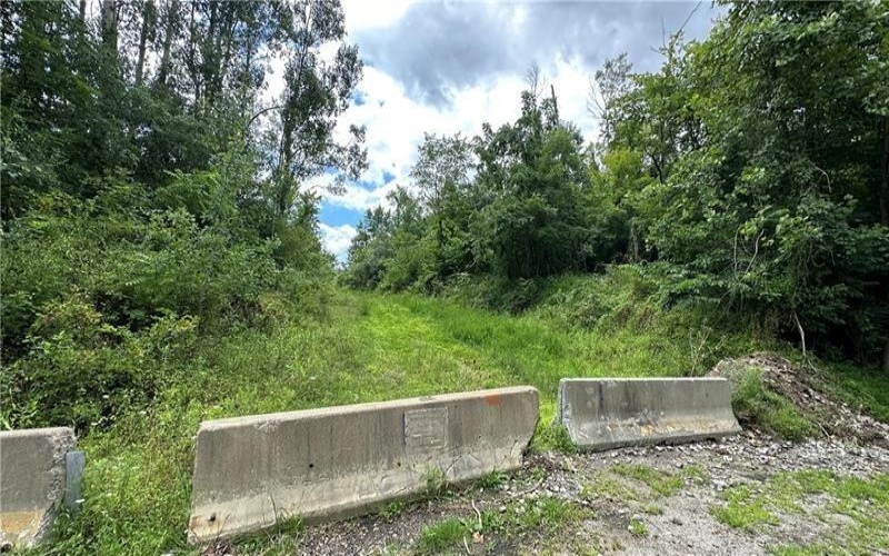 88 LOW HILL RD, Centerville, 15417, ,0.1 BathroomBathrooms,Farm-acreage-lot,For Sale,LOW HILL RD,1738201