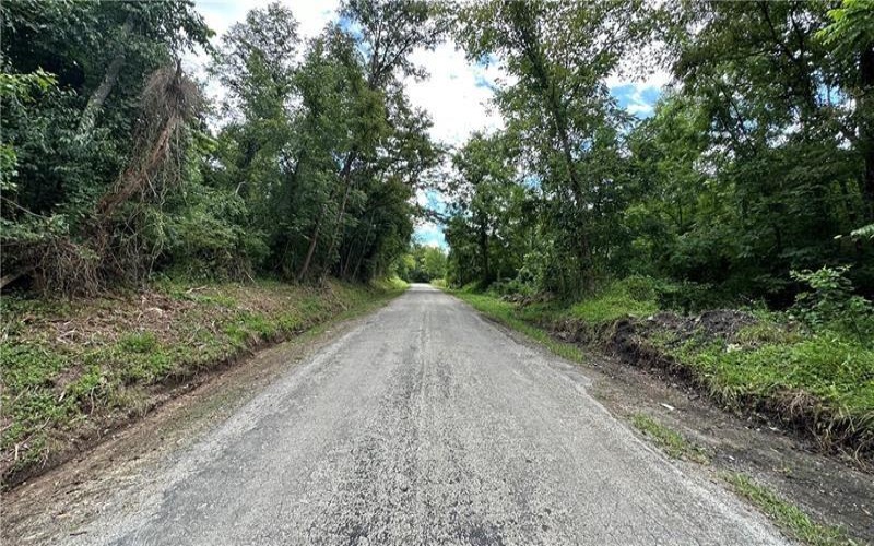 88 LOW HILL RD, Centerville, 15417, ,0.1 BathroomBathrooms,Farm-acreage-lot,For Sale,LOW HILL RD,1738201