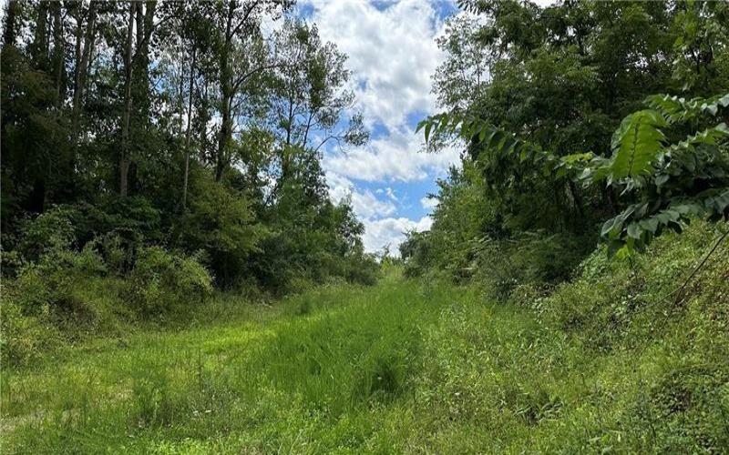 88 LOW HILL RD, Centerville, 15417, ,0.1 BathroomBathrooms,Farm-acreage-lot,For Sale,LOW HILL RD,1738201