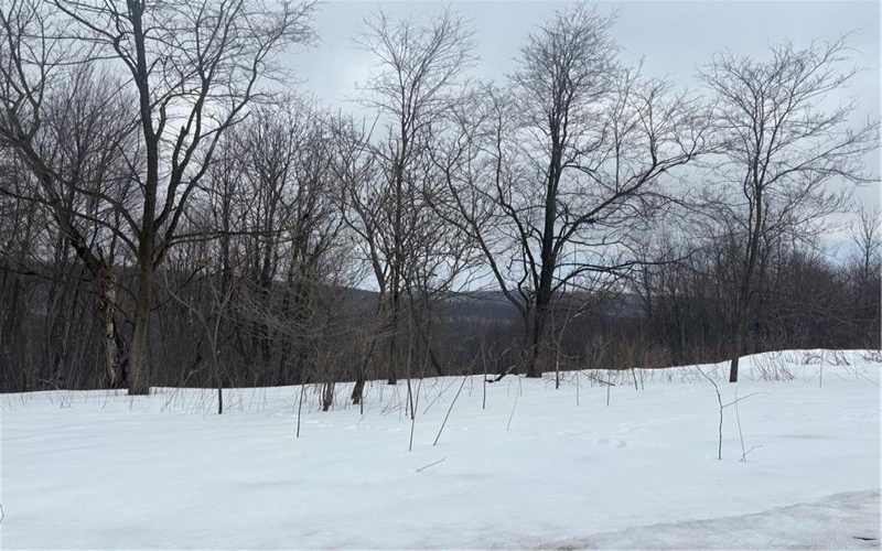 Lot 6 Sheets Rd, Somerset, 15501, ,Farm-acreage-lot,For Sale,Sheets Rd,1741042