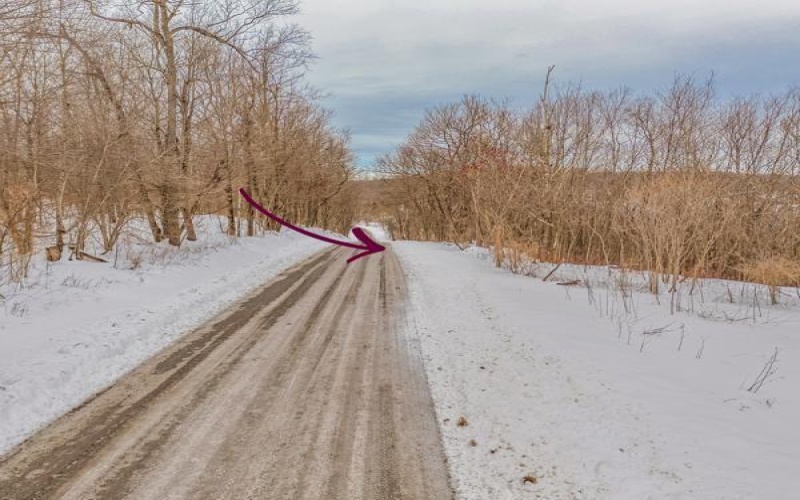 Lot 6 Sheets Rd, Somerset, 15501, ,Farm-acreage-lot,For Sale,Sheets Rd,1741042