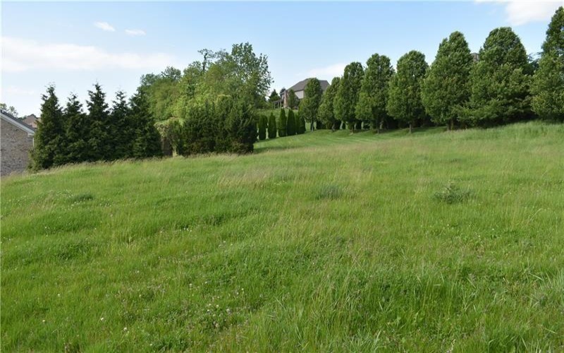 Lot 311 Doubletree Drive, Venetia, 15317, ,Farm-acreage-lot,For Sale,Doubletree Drive,1746336