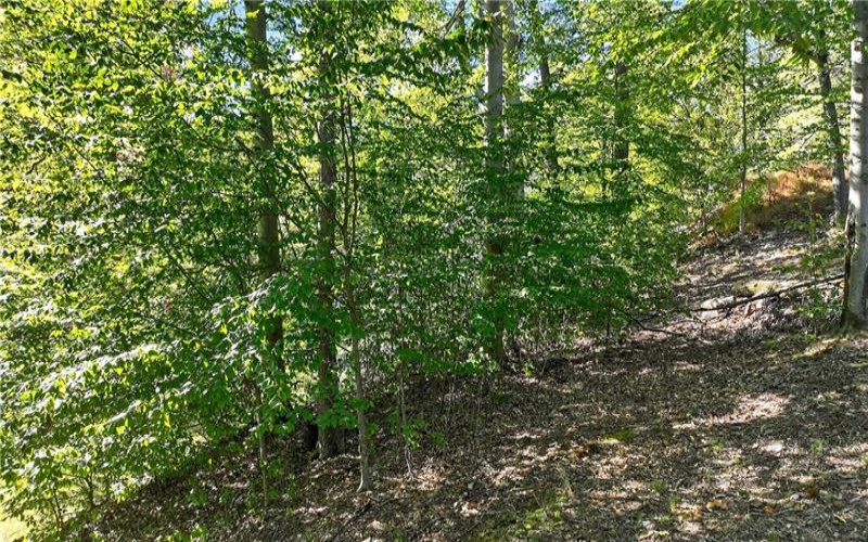 LOT Dover Crest, Eighty Four, 15330, ,Farm-acreage-lot,For Sale,Dover Crest,1729527