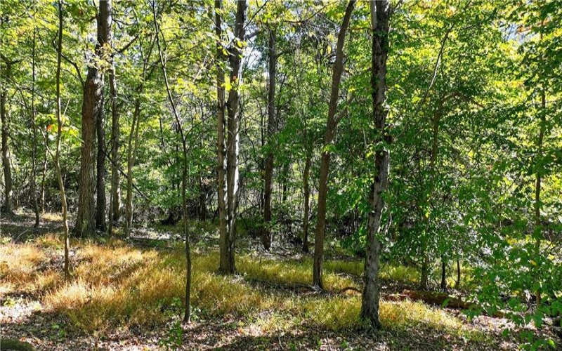 LOT Dover Crest, Eighty Four, 15330, ,Farm-acreage-lot,For Sale,Dover Crest,1729527