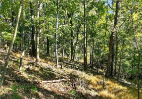 LOT Dover Crest, Eighty Four, 15330, ,Farm-acreage-lot,For Sale,Dover Crest,1729527 LOT Dover Crest, Eighty Four, 15330, ,Farm-acreage-lot,For Sale,Dover Crest,1729527