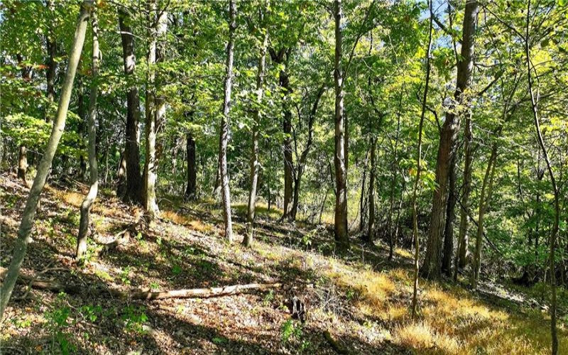 LOT Dover Crest, Eighty Four, 15330, ,Farm-acreage-lot,For Sale,Dover Crest,1729527