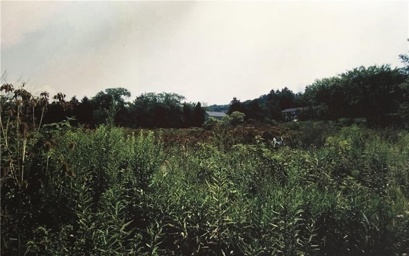 3433 State Route 711, Ligonier, 15658, ,Farm-acreage-lot,For Sale,House to be demolished,State Route 711,1735007
