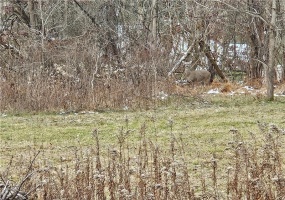 2505 Lot 2 Guffey, North Huntingdon, 15642, ,Farm-acreage-lot,For Sale,Guffey,1735063 2505 Lot 2 Guffey, North Huntingdon, 15642, ,Farm-acreage-lot,For Sale,Guffey,1735063