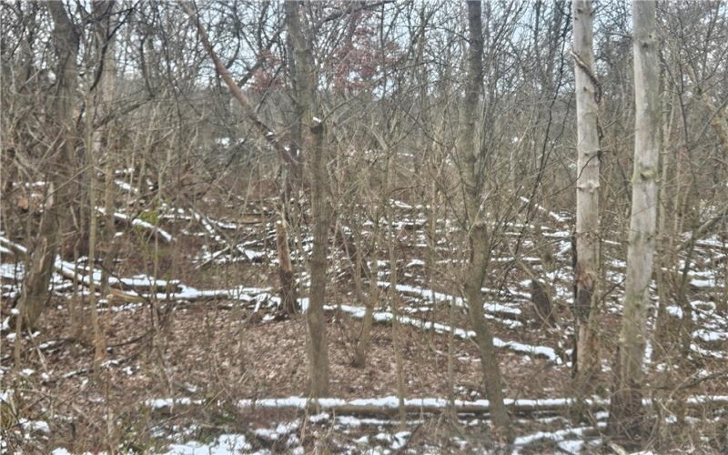 2505 Lot 2 Guffey, North Huntingdon, 15642, ,Farm-acreage-lot,For Sale,Guffey,1735063