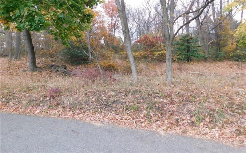 235 Maple Lane, Hopwood, 15445, ,Farm-acreage-lot,For Sale,None,Maple Lane,1730161