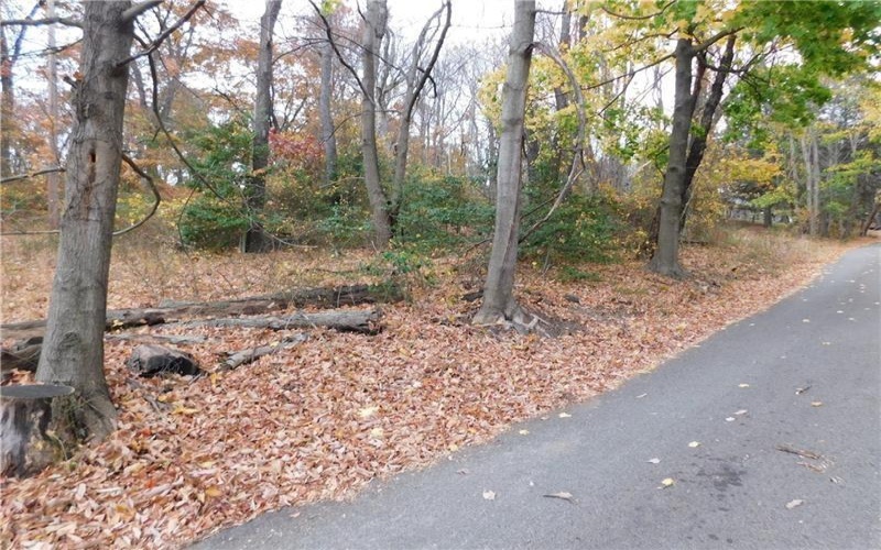 235 Maple Lane, Hopwood, 15445, ,Farm-acreage-lot,For Sale,None,Maple Lane,1730161