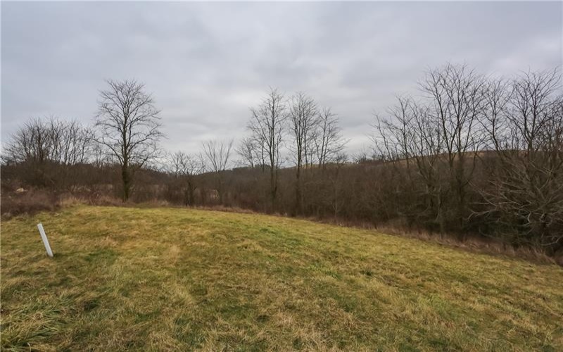 Lot#31 Coblestone Drive, Burgettstown, 15021, ,Farm-acreage-lot,For Sale,Coblestone Drive,1738650