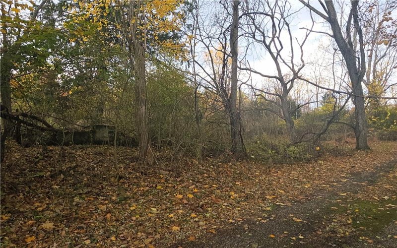 0 White School Rd., Latrobe, 15601, ,Farm-acreage-lot,For Sale,White School Rd.,1730274