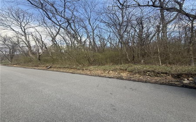 0 Main St, Lemont Furnace, 15456, ,Farm-acreage-lot,For Sale,Main St,1744137