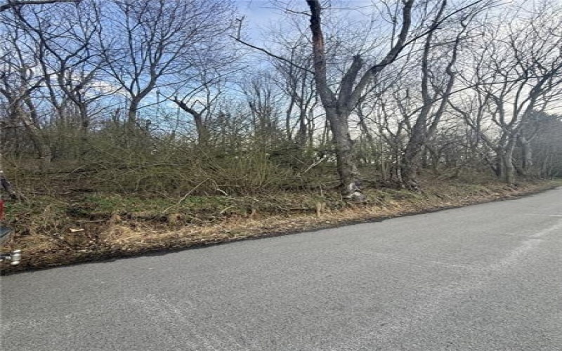 0 Main St, Lemont Furnace, 15456, ,Farm-acreage-lot,For Sale,Main St,1744137