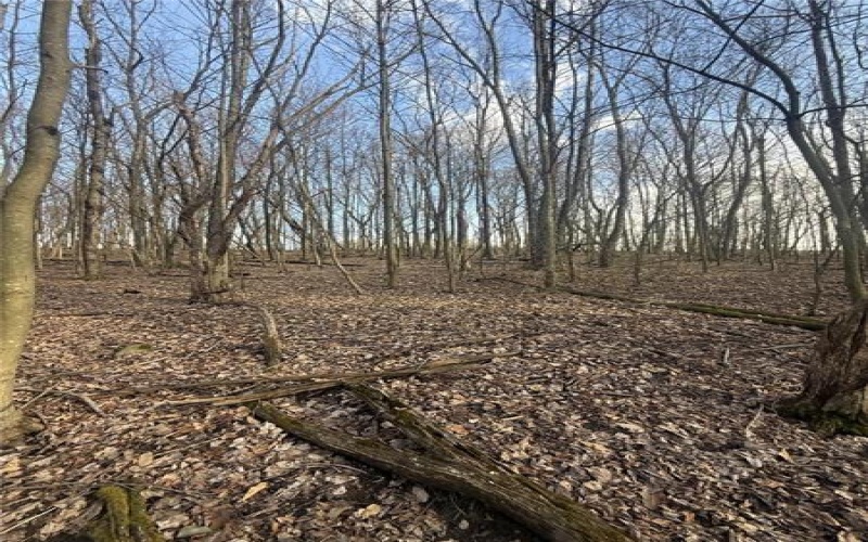 0 Main St, Lemont Furnace, 15456, ,Farm-acreage-lot,For Sale,Main St,1744137