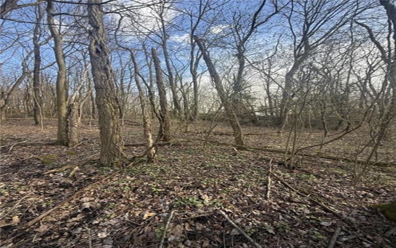 0 Main St, Lemont Furnace, 15456, ,Farm-acreage-lot,For Sale,Main St,1744137