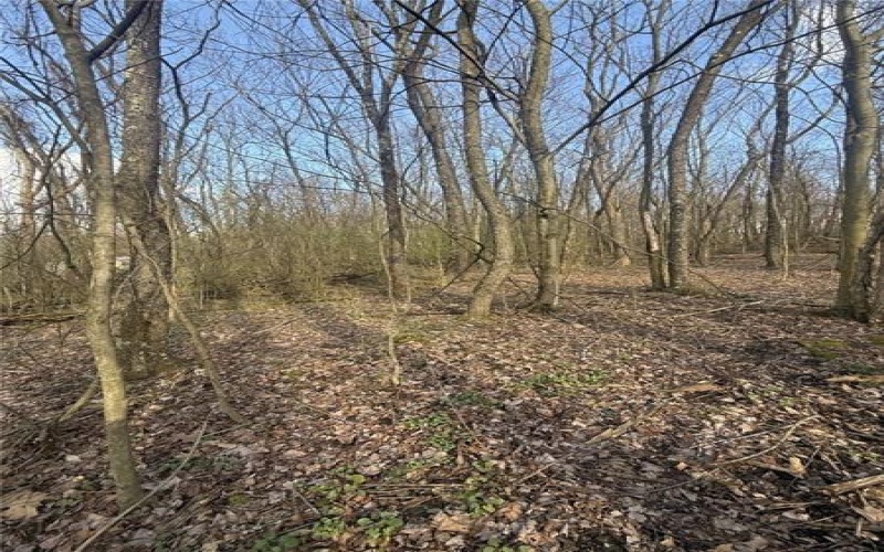 0 Main St, Lemont Furnace, 15456, ,Farm-acreage-lot,For Sale,Main St,1744137
