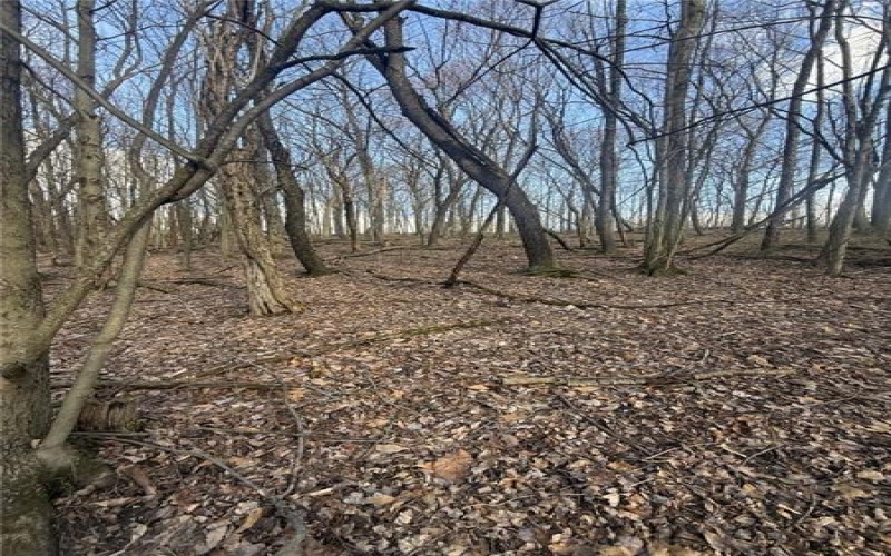 0 Main St, Lemont Furnace, 15456, ,Farm-acreage-lot,For Sale,Main St,1744137