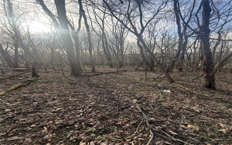 0 Main St, Lemont Furnace, 15456, ,Farm-acreage-lot,For Sale,Main St,1744137