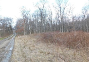 0 Hope Rd off Hopwood Fairchance Road, Uniontown, 15401, ,Farm-acreage-lot,For Sale,Hope Rd off Hopwood Fairchance Road,1738706
