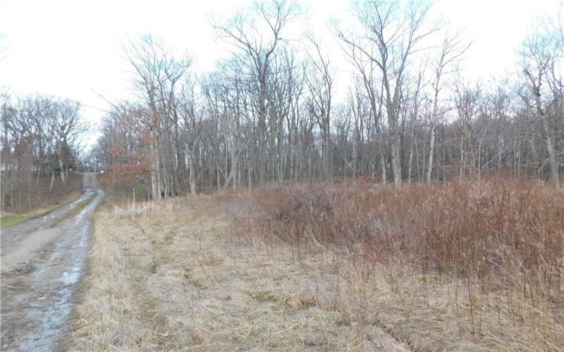 0 Hope Rd off Hopwood Fairchance Road, Uniontown, 15401, ,Farm-acreage-lot,For Sale,Hope Rd off Hopwood Fairchance Road,1738706