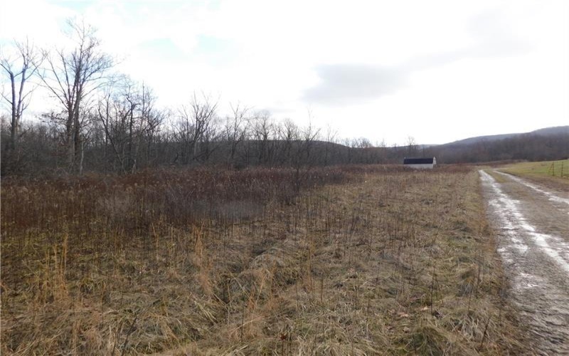 0 Hope Rd off Hopwood Fairchance Road, Uniontown, 15401, ,Farm-acreage-lot,For Sale,Hope Rd off Hopwood Fairchance Road,1738706