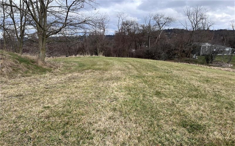 0 Elm Street, Washington, 15301, ,Farm-acreage-lot,For Sale,Elm Street,1738823