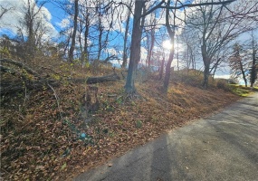 Lot 10-11 Arch St, Monessen, 15062, ,Farm-acreage-lot,For Sale,None,Arch St,1730572 Lot 10-11 Arch St, Monessen, 15062, ,Farm-acreage-lot,For Sale,None,Arch St,1730572