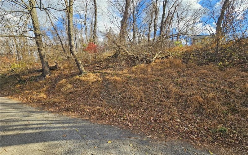 Lot 10-11 Arch St, Monessen, 15062, ,Farm-acreage-lot,For Sale,None,Arch St,1730572