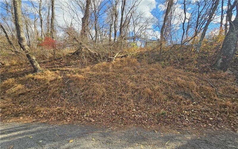 Lot 10-11 Arch St, Monessen, 15062, ,Farm-acreage-lot,For Sale,None,Arch St,1730572