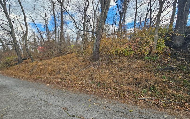 Lot 10-11 Arch St, Monessen, 15062, ,Farm-acreage-lot,For Sale,None,Arch St,1730572