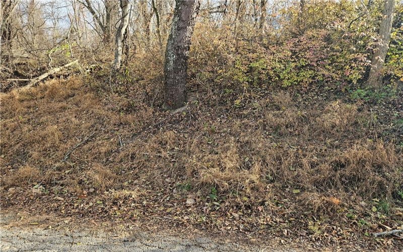 Lot 10-11 Arch St, Monessen, 15062, ,Farm-acreage-lot,For Sale,None,Arch St,1730572