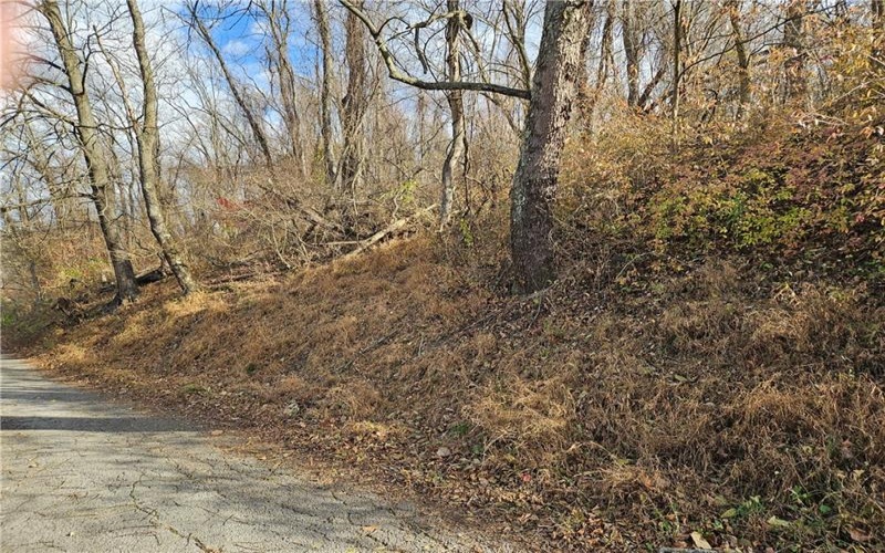 Lot 10-11 Arch St, Monessen, 15062, ,Farm-acreage-lot,For Sale,None,Arch St,1730572