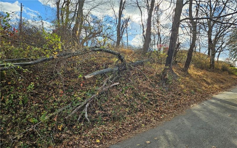 Lot 10-11 Arch St, Monessen, 15062, ,Farm-acreage-lot,For Sale,None,Arch St,1730572