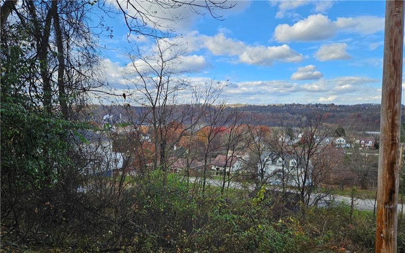 Lot 10-11 Arch St, Monessen, 15062, ,Farm-acreage-lot,For Sale,None,Arch St,1730572