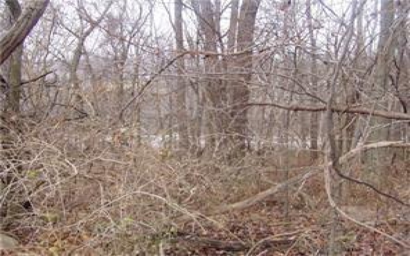 0 Route 19, Washington, 15301, ,Commercial-industrial-business,For Sale,Route 19,1730591