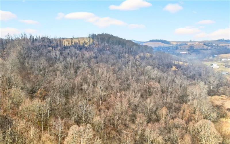 275 NEWMAN ROAD, Claysville, 15323, ,Farm-acreage-lot,For Sale,NEWMAN ROAD,1741705