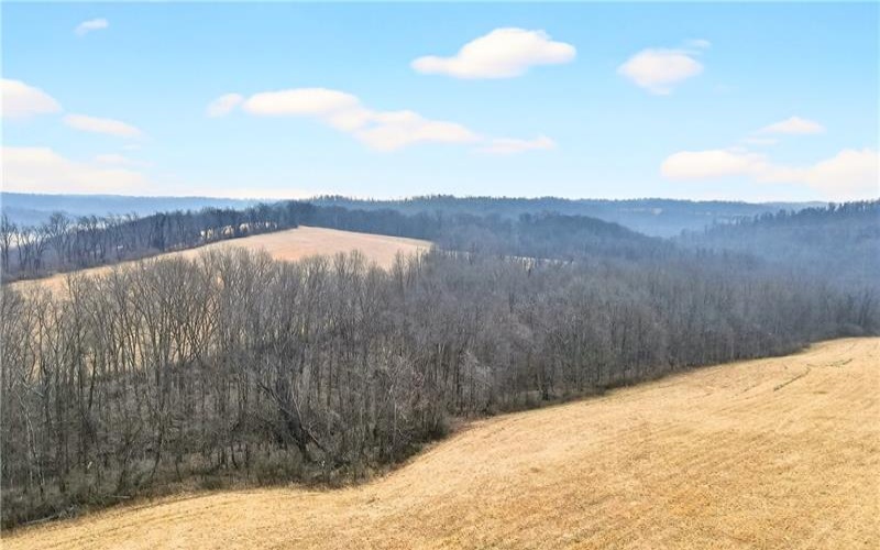 275 NEWMAN ROAD, Claysville, 15323, ,Farm-acreage-lot,For Sale,NEWMAN ROAD,1741705