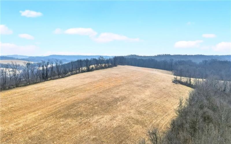 275 NEWMAN ROAD, Claysville, 15323, ,Farm-acreage-lot,For Sale,NEWMAN ROAD,1741705
