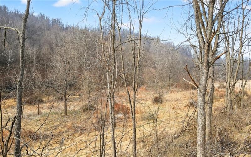 275 NEWMAN ROAD, Claysville, 15323, ,Farm-acreage-lot,For Sale,NEWMAN ROAD,1741705