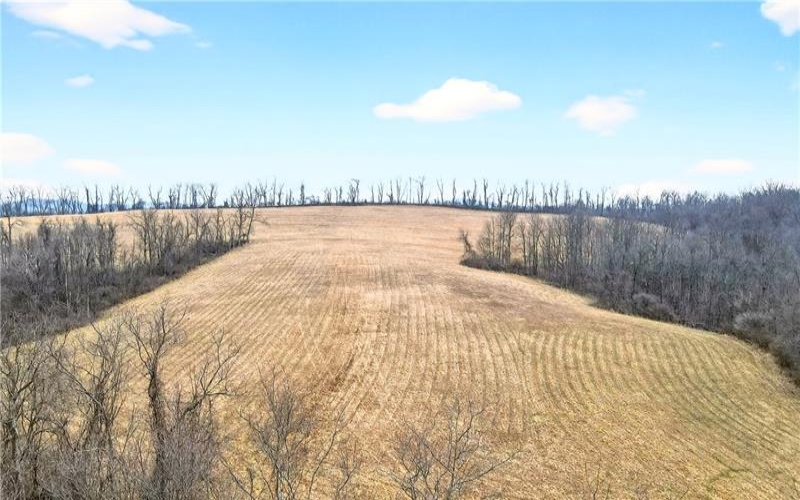 275 NEWMAN ROAD, Claysville, 15323, ,Farm-acreage-lot,For Sale,NEWMAN ROAD,1741705